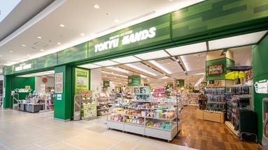 ZIGEN ���}�n���Y